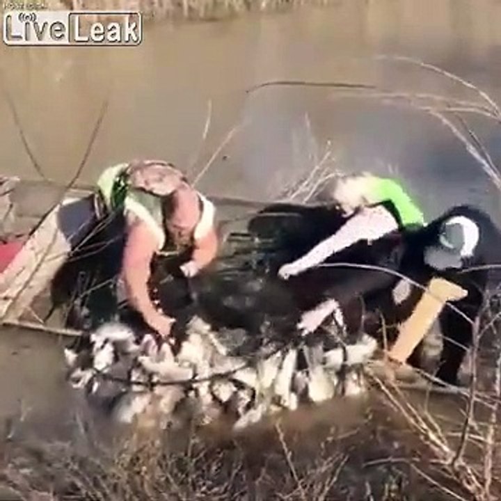 Trop grosse pêche, ils coulent leur bateau en remontant le filet !
