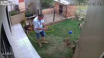 Il explose son bout de jardin pour se débarrasser d'une taupe !