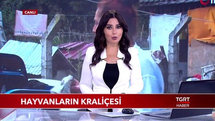 Hayvanların Kraliçesi, 150 Hayvana Bakıyor