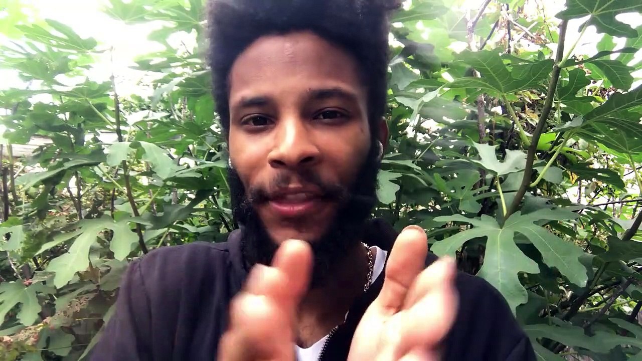 The #1 Law of Attraction Secret_Unlock Your God Consciousness with the Book of Genesis