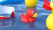 Patos de goma en la piscina con Colores para ninos con Canciones infantiles con bano