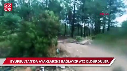Ayaklarını bağlayıp atı öldürdüler! ‘Eti için keseceklerdi’ iddiası