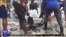 [이 시각 세계] 브라질 해안 기름 찌꺼기 확산 '비상'