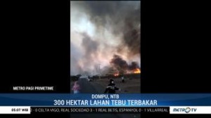 Kebakaran Lahan Tebu di NTB Berhasil Dipadamkan