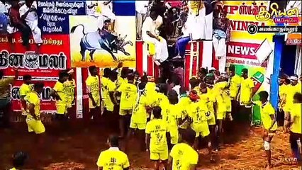 Este toro deja en cueros a un hombre tras arrancarle la ropa interior delante de todos