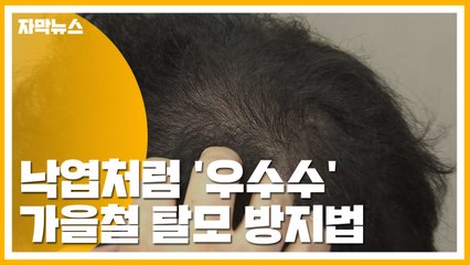 [자막뉴스] 낙엽처럼 '우수수'...가을철 탈모 방지법 / YTN
