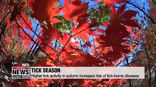 Higher tick activity in autumn increases risk of tick-borne diseases
