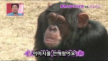 39★[팡군]