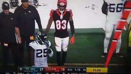 Bengals Stadium Was So Empty, Fan Could Be Heard Asking Jags Kicker For Hair Care Tips