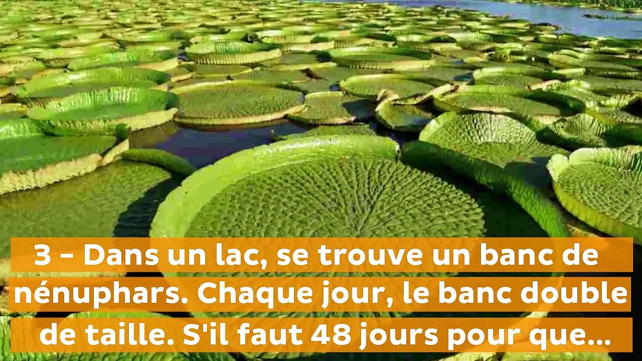 Le test de QI le plus court du monde 3 questions pour évaluer votre intelligence