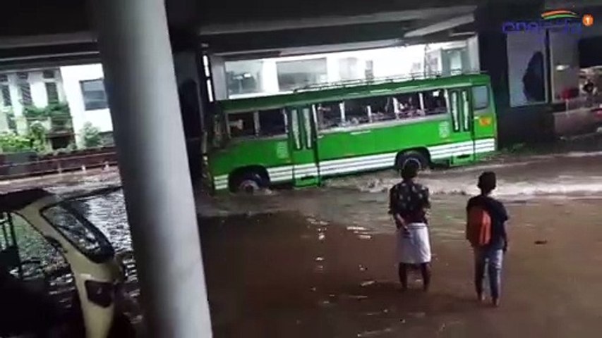 cmsvideo