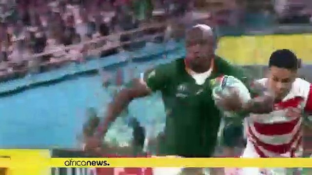 Mondial de rugby : les Springboks en demis