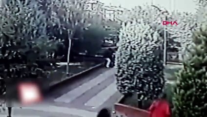 Küçükçekmece'de pitbull küçük çocuğa saldırdı