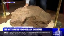 Cette météorite est le clou de la vente aux enchères à l'Hôtel Drouot