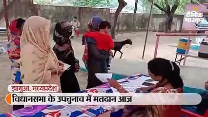 विधानसभा के उपचुनाव में मतदान आज