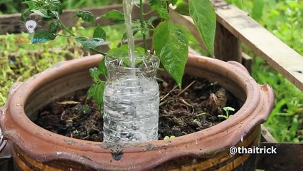 38 Creative Ideas with Plastic Bottles