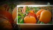 ಸಿಹಿ ಕುಂಬಳಕಾಯಿ ತಿನ್ನುದರಿಂದ ದೇಹಕ್ಕೆ ಆಗುವ ಪ್ರಯೋಜನಗಳು | Benefits Of Eating Pumpkin | Pumpkin Seeds