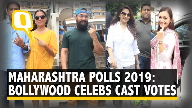 Maharashtra Polls: Aamir Khan, Madhuri Dixit & Other Bollywood Stars Cast Votes