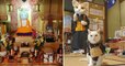 On a trouvé le plus beau sanctuaire au monde : il se trouve au Japon et est dédié... aux chats
