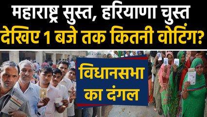 Maharashtra, Haryana Assembly Elections के लिए Voting जारी, 1बजे तक इतने फीसदी मतदान |वनइंडिया हिंदी