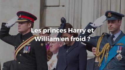 Les princes Harry et William en froid ?