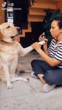 国外文凭学位证书学历认证Q微29304199办UC毕业证成绩单Diploma卡尔加里大学毕业证成绩单修改GPA成绩录取通知书雅思成绩单offer /UC文凭,教育部使馆留信认证,〈诚招代理〉University of calgary