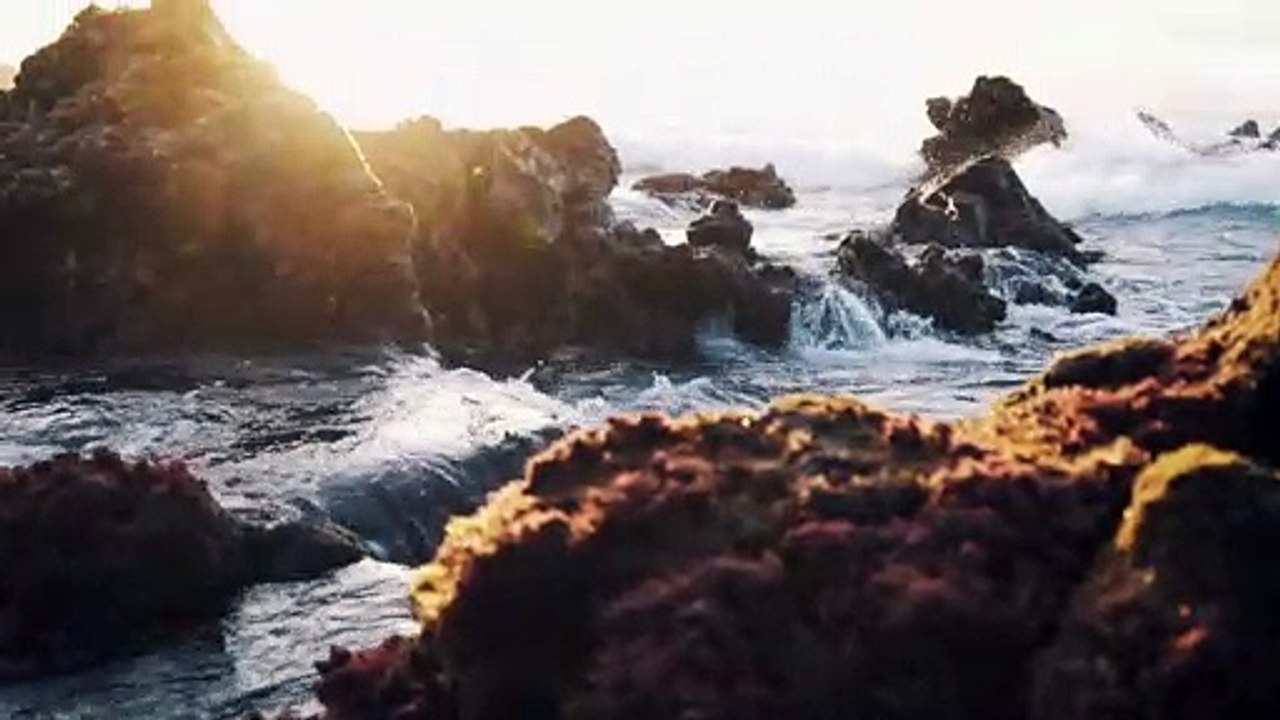 [Player Rules] Custom tracking URLs