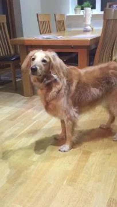 Milo showing his skills!