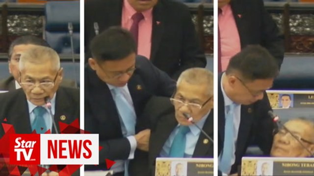 Nibong Tebal MP collapses in Dewan Rakyat