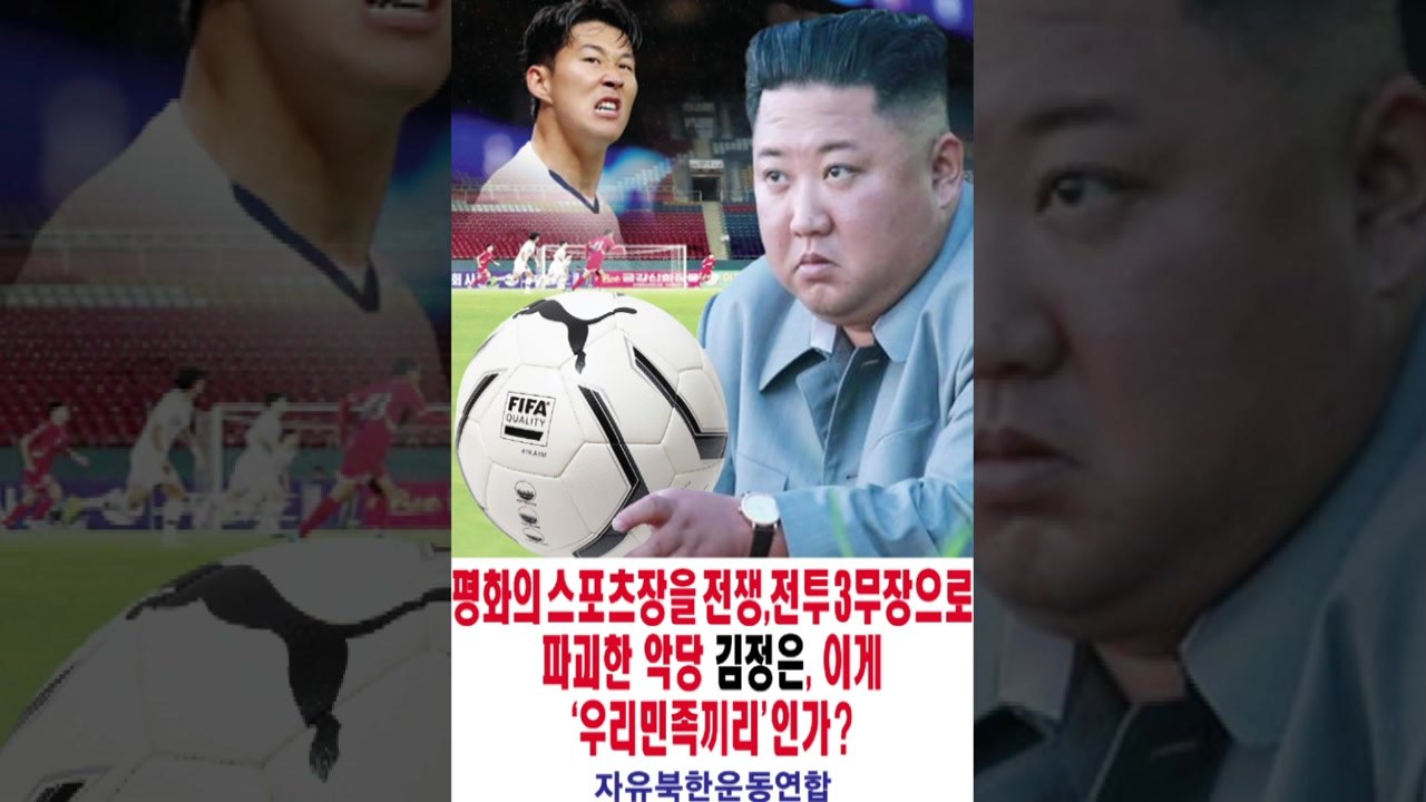 "스포츠 경기도 민족 대결로 변질"...탈북민단체, 대북전단 살포 / YTN