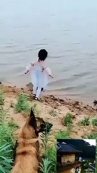 dog saves girl