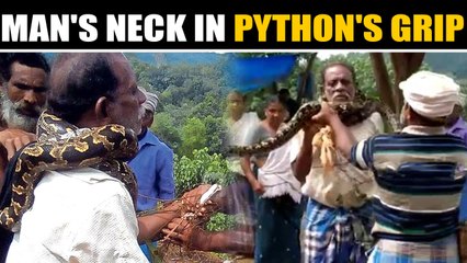 Kerala man rescued from python's grip, video goes viral | OneIndia News