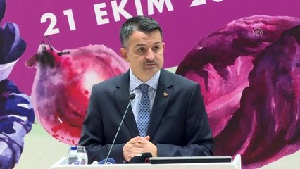 Pakdemirli: "11 milyon fidanı bir günde dikip dünya rekoru kıracağız"