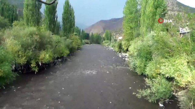 Alçak Kesimlerde Yağan Yağmur Nedeniyle Habur Çayı Taştı