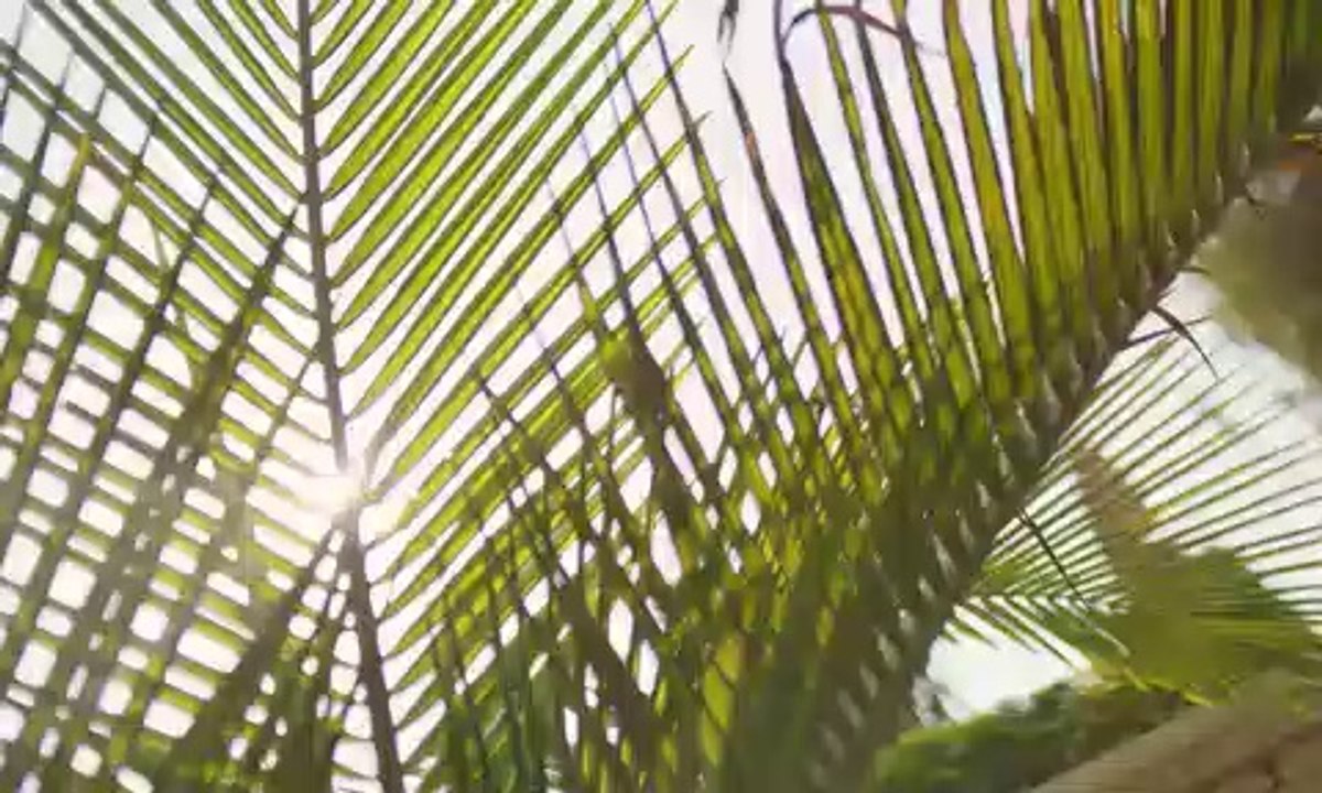 بادية بالم هيلز بمدينة 6 أكتوبر – Badya Palm Hills 6th