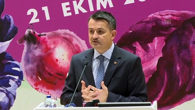 Pakdemirli: 'Sertifikalı tohum üretenlere ve kullananlara destek verdik' - ANKARA