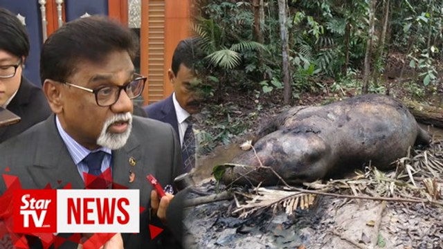 Xavier urges Sabah and Sarawak to amend laws to tackle wildlife crimes