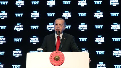 Turkey is not eyeing Syrian territory: Erdogan