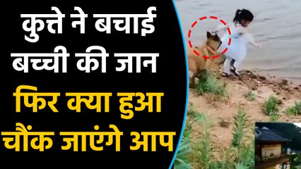 Viral Video में देखिए कैसे कुत्ते ने जान पर खेलकर बचाई बच्ची की जान, Watch Video | वनइंड़िया हिंदी