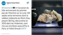 Une météorite de 364 kg découverte dans les Ardennes va être vendue aux enchères à Paris