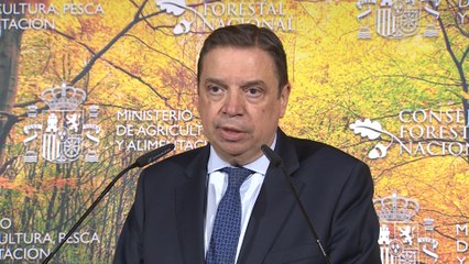 Planas: "Inversión en política forestal es superior a 2000 millones"