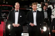 Il Principe Harry ammette che il rapporto col fratello è altalenante: 'Io e William abbiamo delle giornate no'