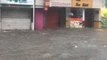 Heavy rains and floods in Kochi affect normalcy