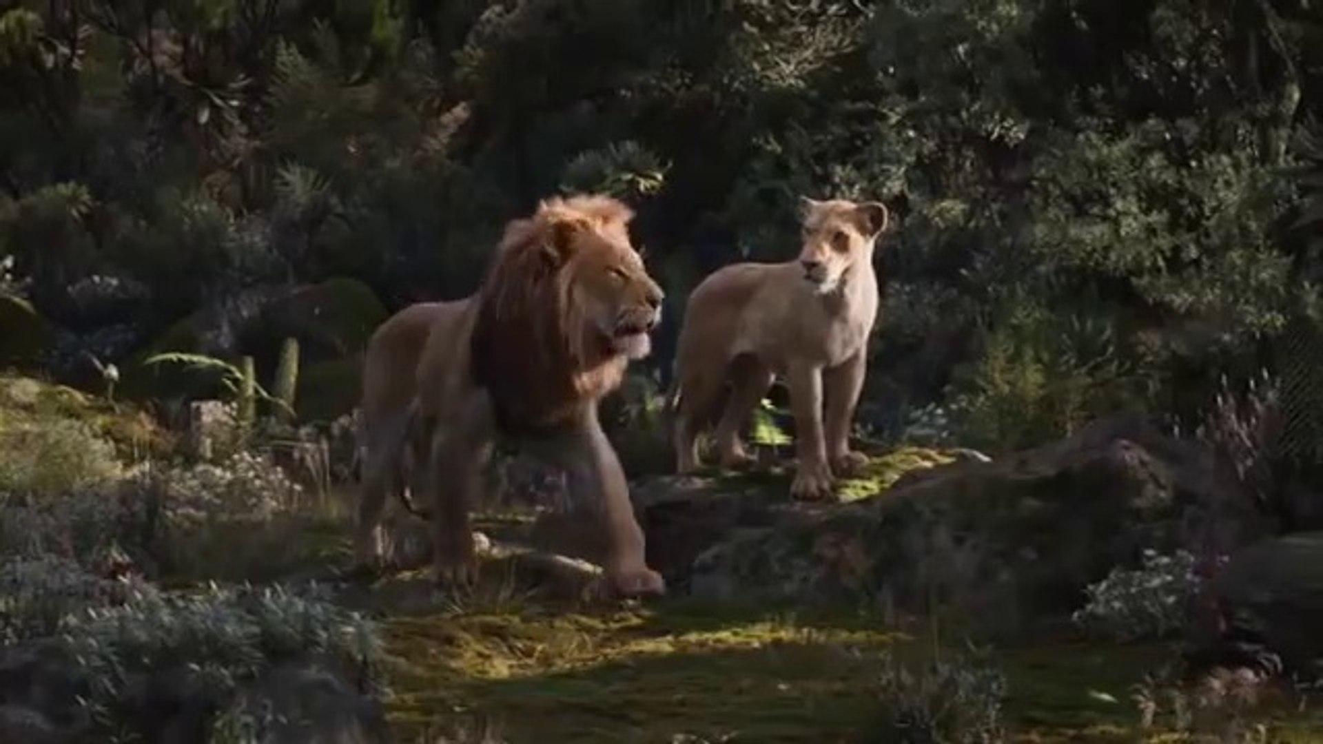 ⁣'Best Animation Movies 2019  fisrt part.Full Movies English - Kids movies - Comedy Movies - _00