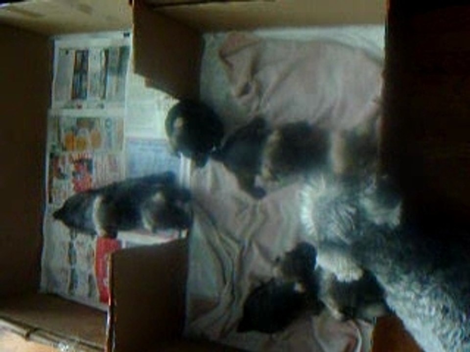 Photo_268