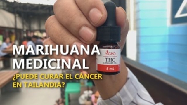 La marihuana medicinal en Tailandia: ¿puede curar el cáncer?