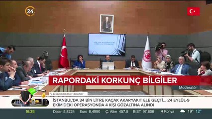 Lüks rezidansta horoz dövüşleri