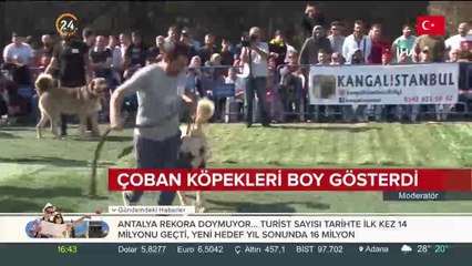 Dereceye girenler ödüllendirildi