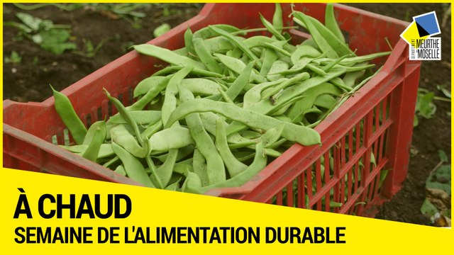 [ A CHAUD] - La Semaine de l’alimentation durable en Meurthe-et-Moselle