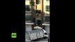 ¡Impactantes imágenes!: Un bebé cae desde un tercer piso y el lechero logra salvarlo